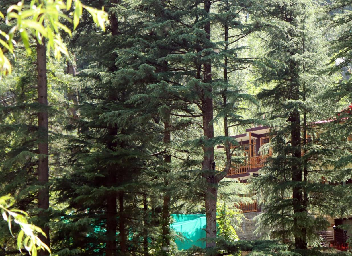 The Himalayan Heaven Apartman Jibhi Kültér fotó